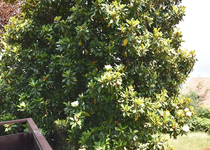 Holiday home In Valdora With Maggiore Views